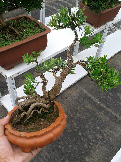 2013-07-07 13.49.14.jpg