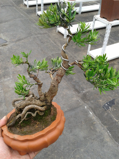 2013-07-07 13.48.36.jpg