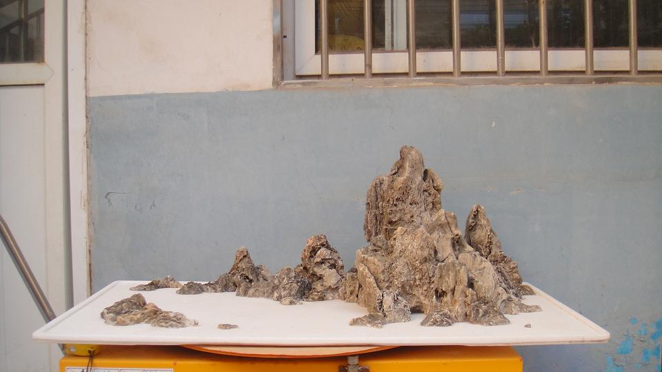 DSC04787.JPG