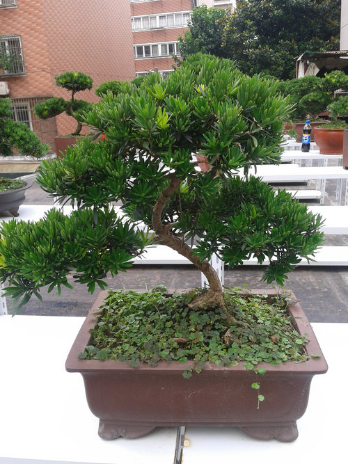 2013-07-07 13.28.18.jpg