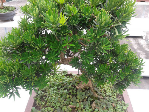 2013-07-07 13.28.27.jpg