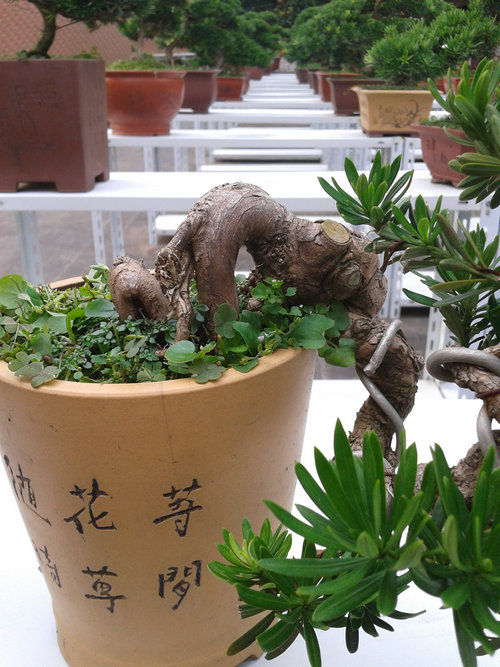 2013-07-07 16.37.45.jpg