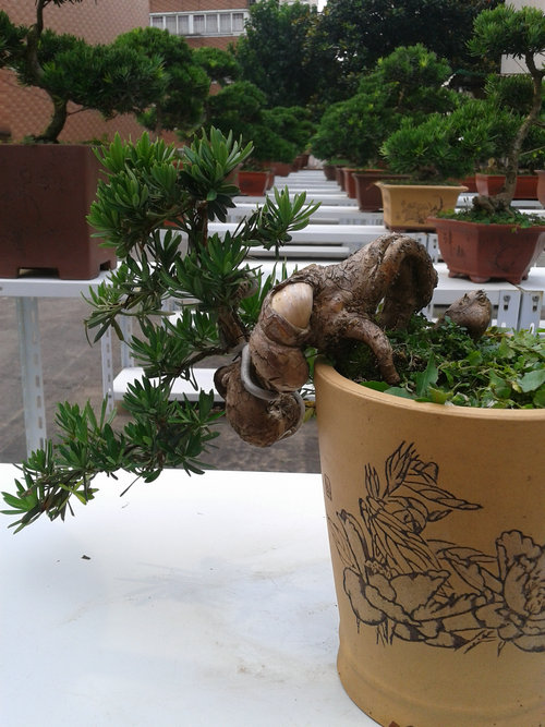 2013-07-07 16.39.34.jpg