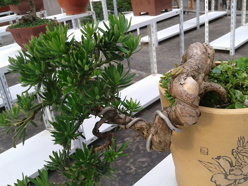 2013-07-07 16.41.23.jpg