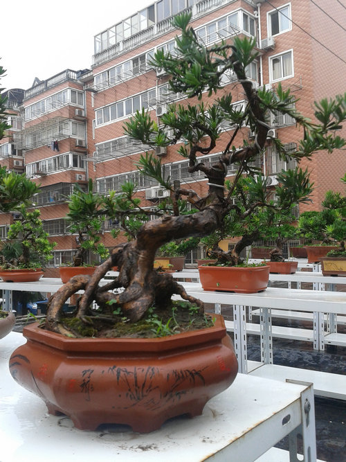 2013-07-05 13.26.04.jpg