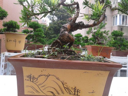 2013-07-05 13.32.52.jpg