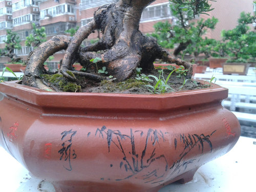 2013-07-05 13.26.15.jpg