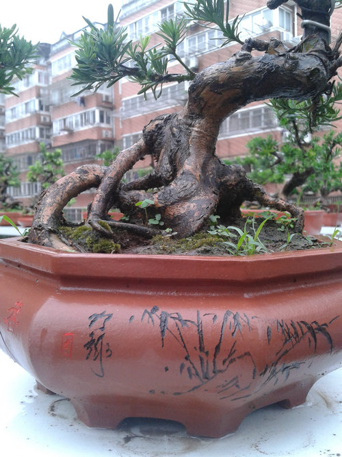 2013-07-05 13.26.36.jpg