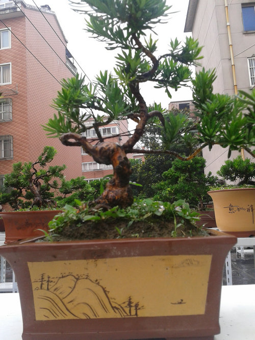 2013-07-05 13.31.39.jpg