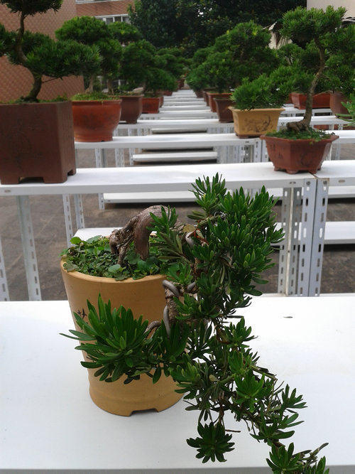 2013-07-07 16.36.43.jpg