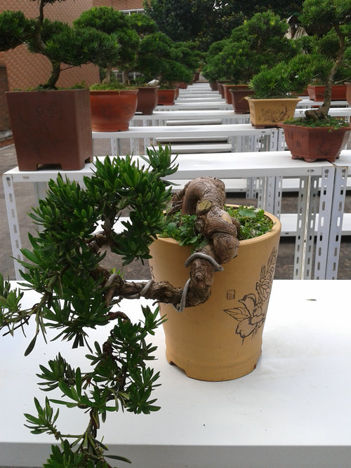 2013-07-07 16.38.58.jpg