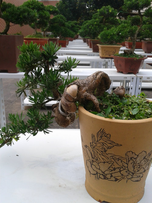 2013-07-07 16.39.25.jpg