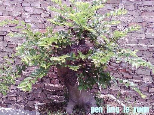 IMG_20130707_111224.jpg