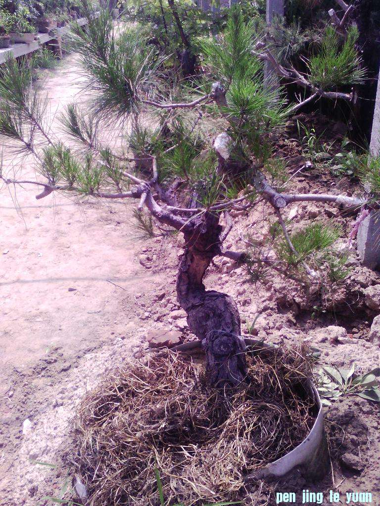 б��������