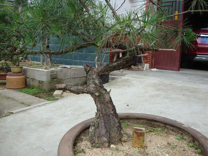 DSC01253_.jpg