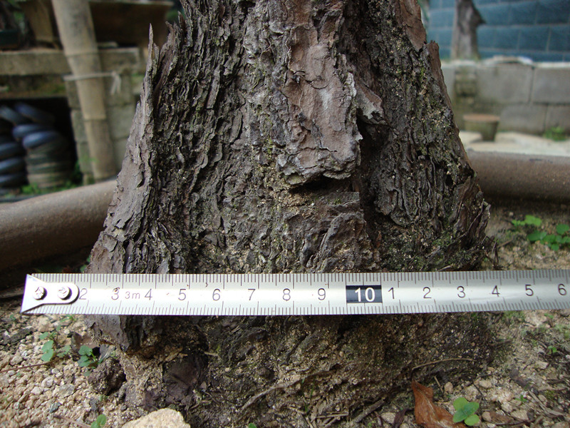 DSC01254_.jpg
