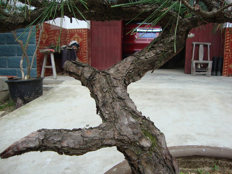 DSC01255_.jpg