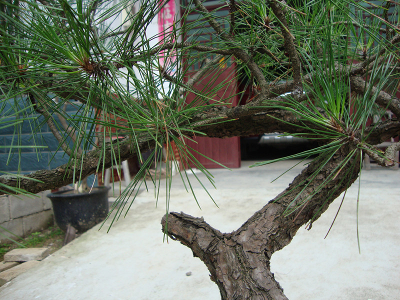 DSC01256_.jpg