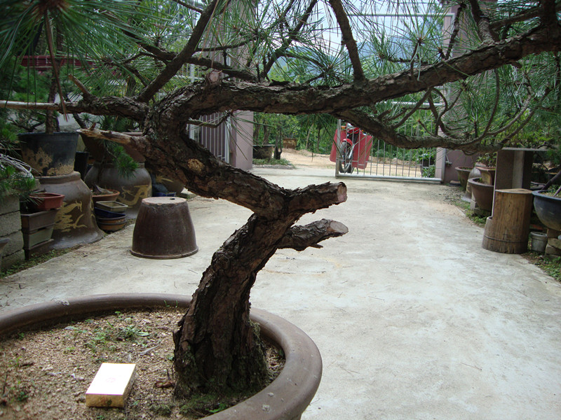 DSC01257_.jpg