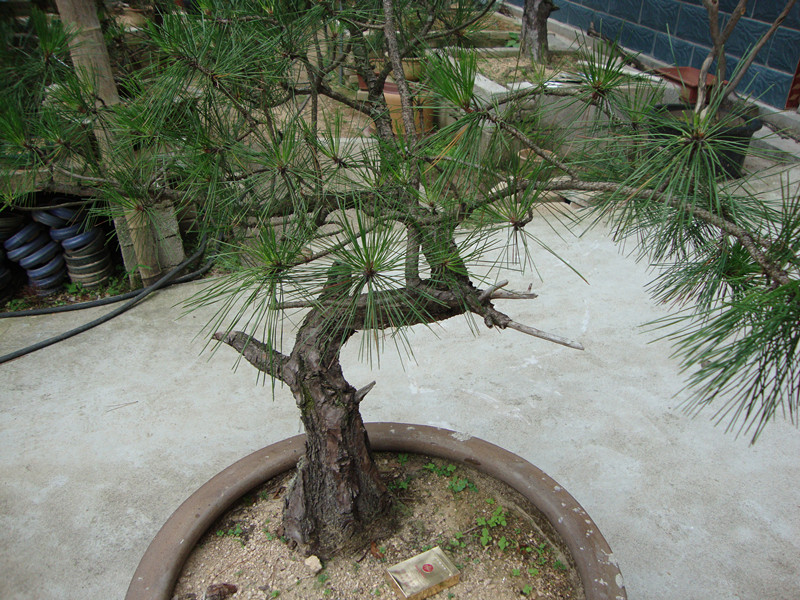 DSC01258_.jpg
