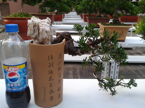 2013-07-09 18.56.06.jpg