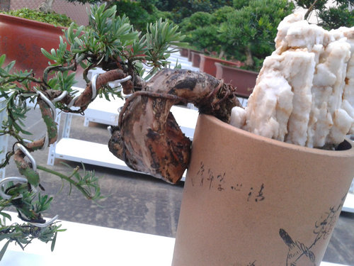 2013-07-09 18.57.19.jpg
