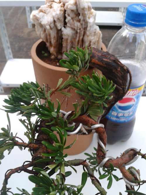 2013-07-09 18.58.04.jpg