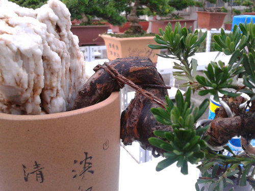 2013-07-09 18.58.31.jpg