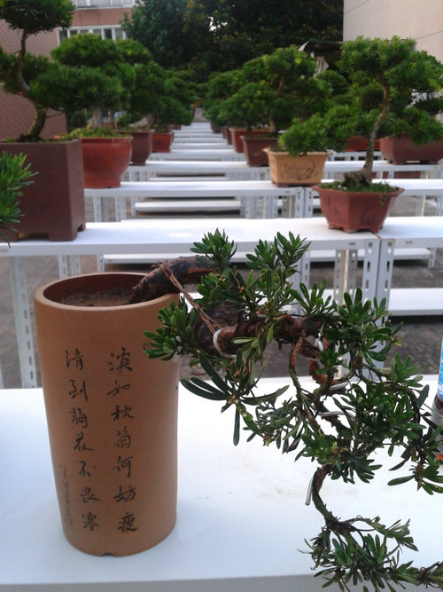 2013-07-09 18.49.11.jpg