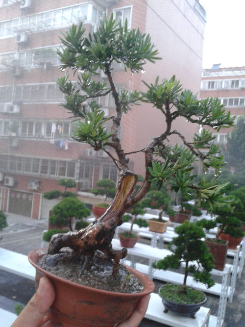 2013-07-09 19.07.38.jpg