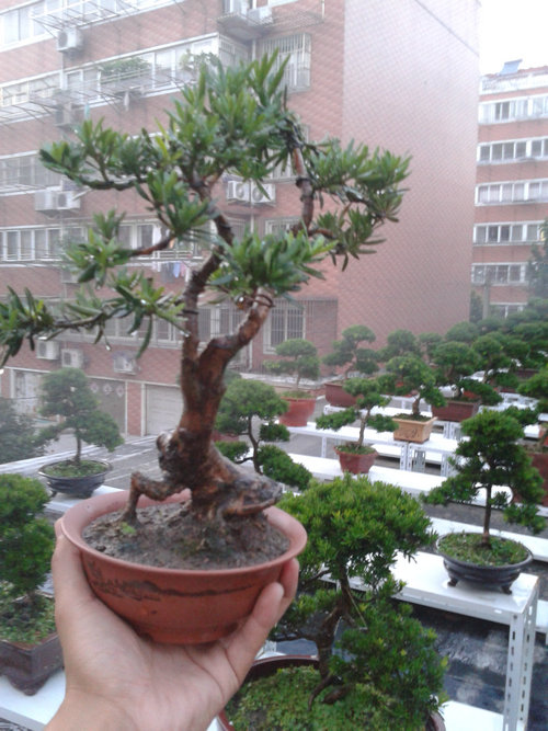 2013-07-09 19.06.53.jpg