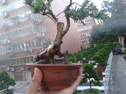 2013-07-09 19.07.31.jpg