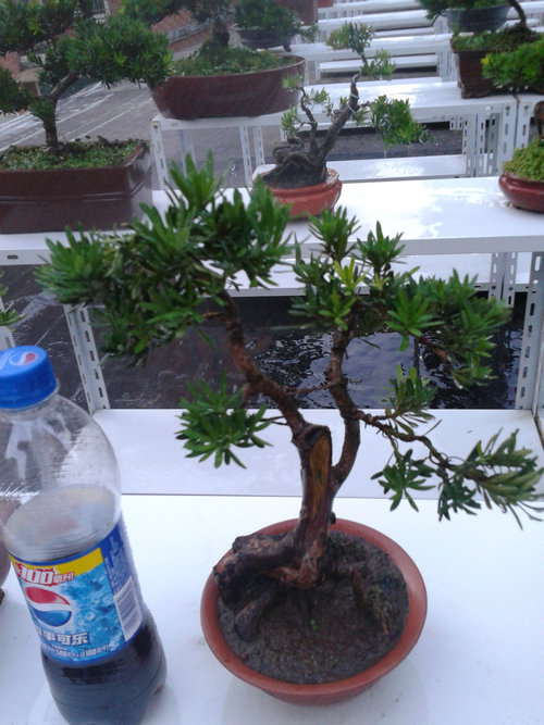 2013-07-09 19.02.57.jpg