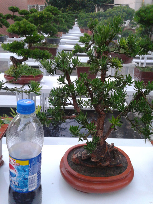 2013-07-09 19.00.47.jpg
