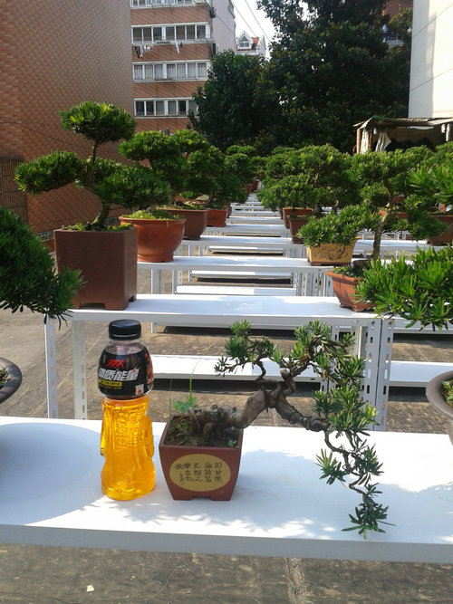 2013-07-09 15.46.30.jpg