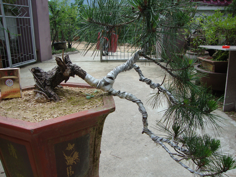 DSC01248_.jpg