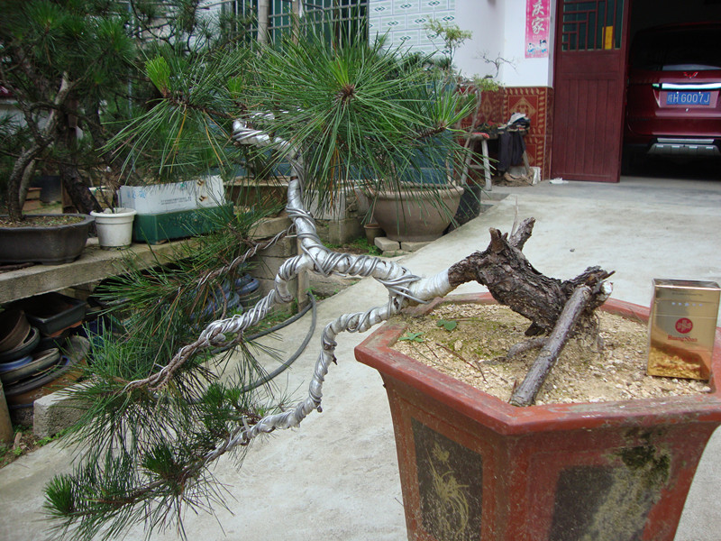 DSC01249_.jpg