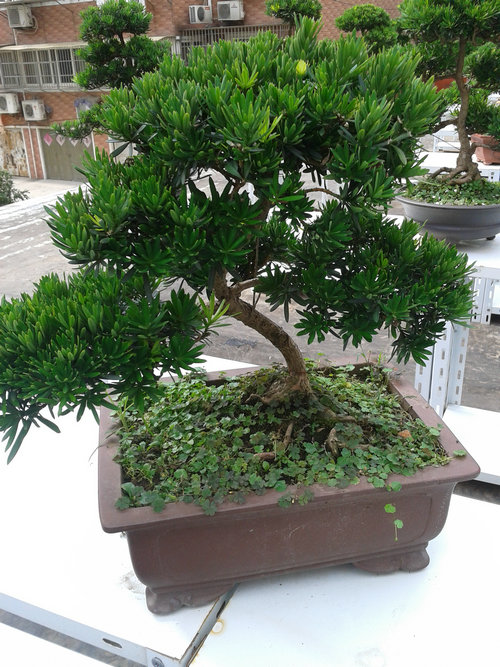 2013-07-07 15.17.42.jpg