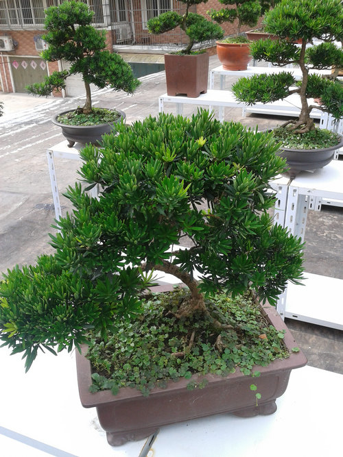 2013-07-07 15.18.21.jpg
