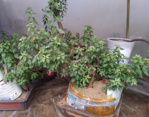 QQͼ20130710151053.png