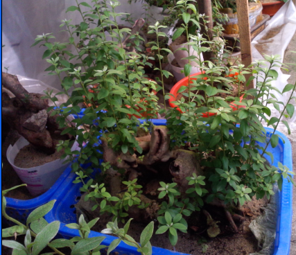 QQͼ20130710151109.png