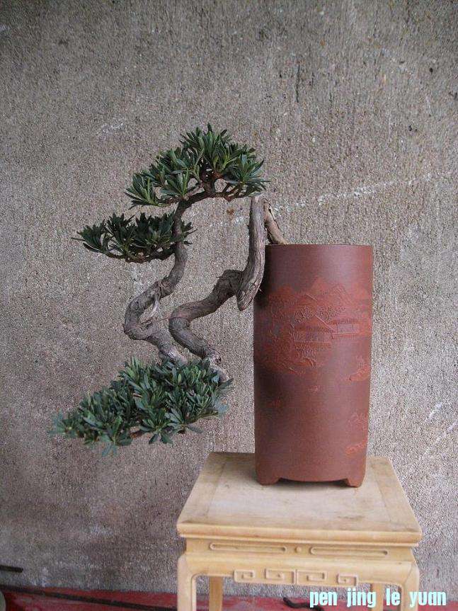 Ƭ 16058.jpg