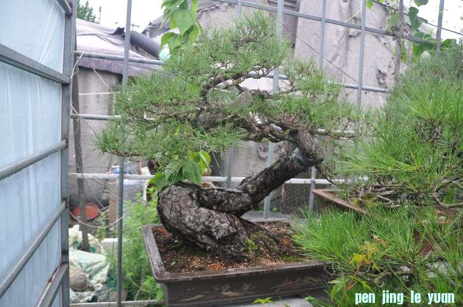 ҵ辰 333.jpg
