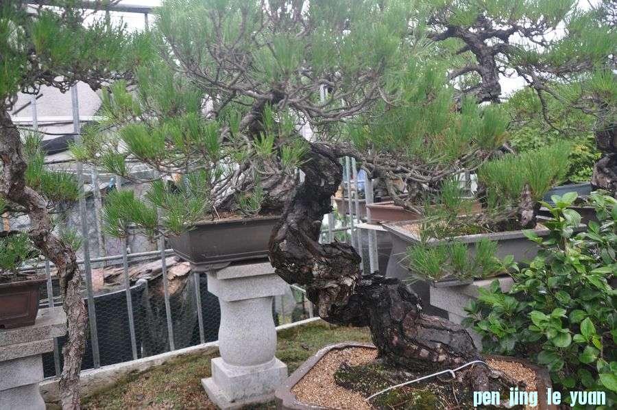 ҵ辰 381.jpg
