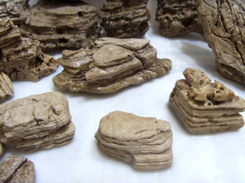 SDC11291_.jpg