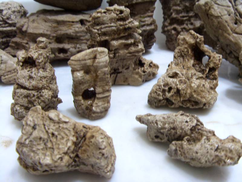 SDC11296_.jpg