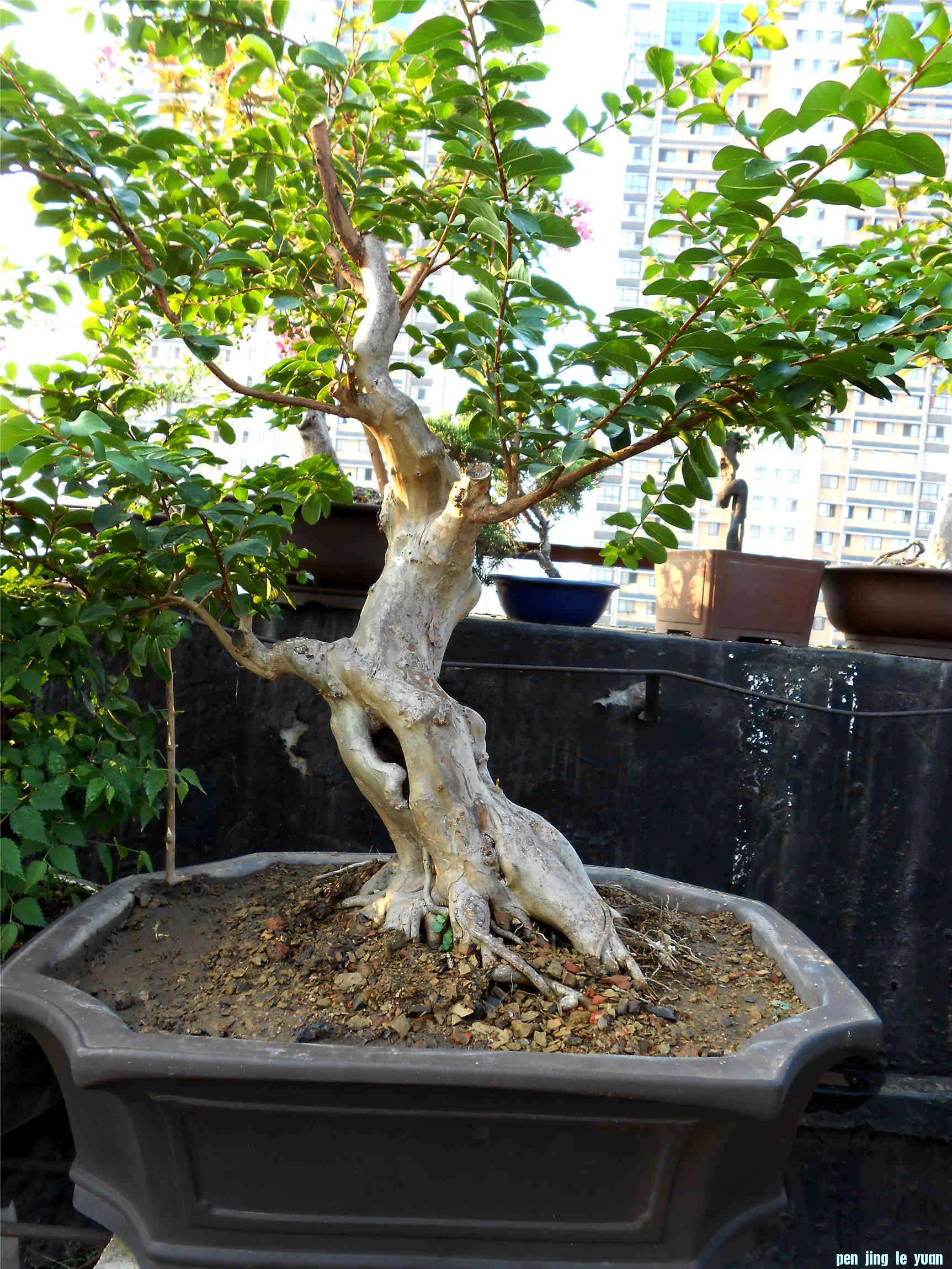 DSCN0534.jpg