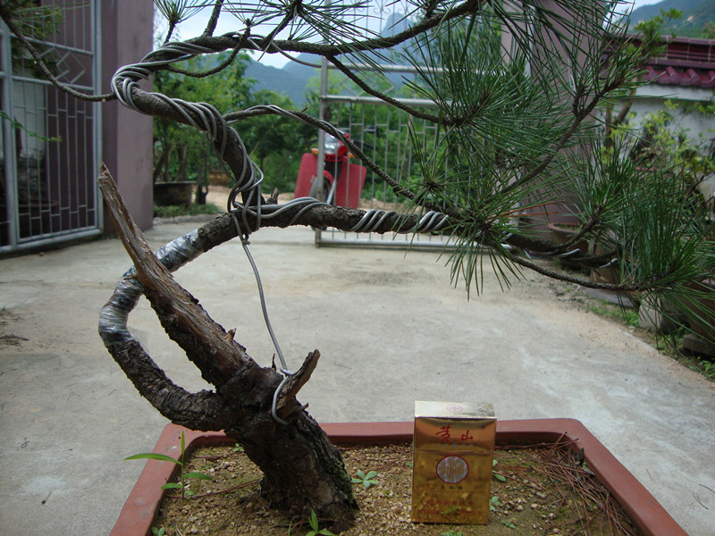 DSC01266_.jpg