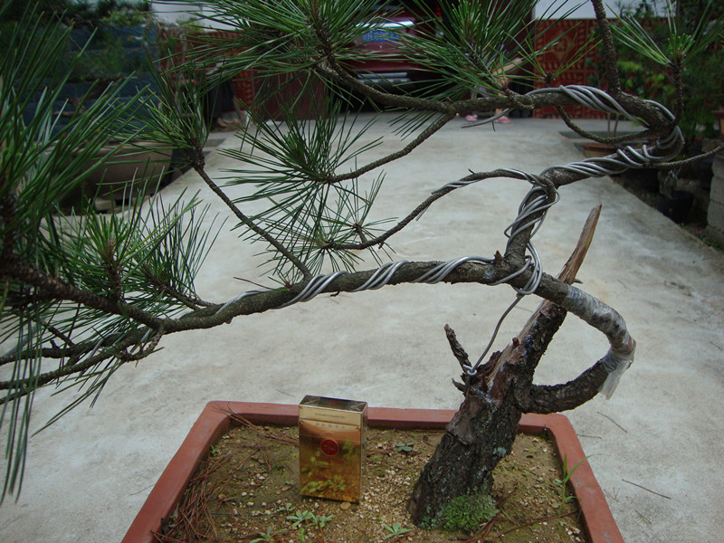 DSC01267_.jpg