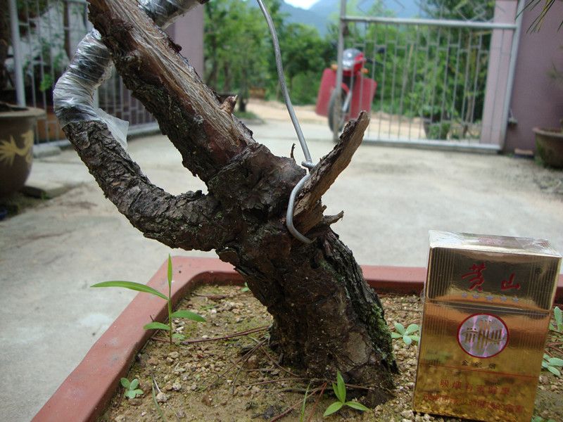 DSC01268_.jpg